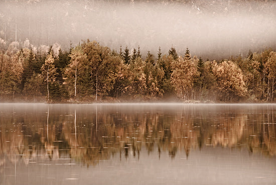 Martin Podt MPP1064 - MPP1064 - Layers    - 18x12 Photography, Trees, Lake, Landscape, Reflection, Fog, Nature from Penny Lane