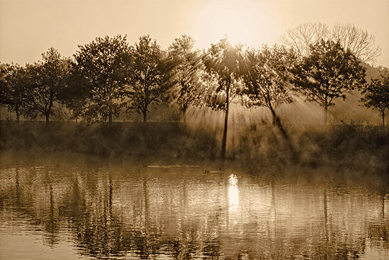 Martin Podt MPP1066 - MPP1066 - Morning Glory    - 18x12 Photography, Trees, Lake, Landscape, Reflection, Morning, Fog, Nature, Sun, Sunrise, Black & White from Penny Lane