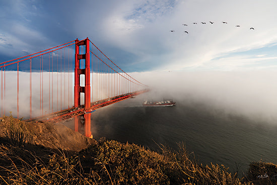 Martin Podt MPP1074 - MPP1074 - Evening Fog at the Golden Gate Bridge - 18x12 Photography, Landscape, Bridge, Golden Gate Bridge, Fog, Evening Fog, Birds, Nature from Penny Lane