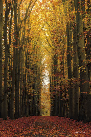 Martin Podt MPP148 - Highway to Heaven - Path, Trees, Forest, Landscape from Penny Lane Publishing