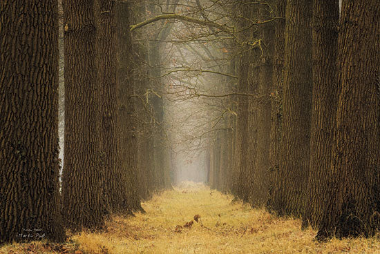 Martin Podt MPP171 - Yellow Path - Path, Trees, Forest, Landscape from Penny Lane Publishing