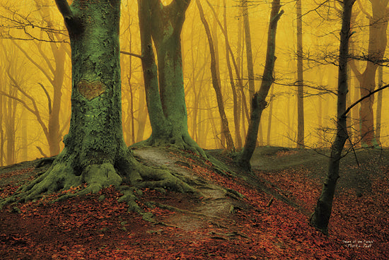 Martin Podt MPP197 - Heart of the Forest - Trees, Roots, Leaves, Sun, Landscape from Penny Lane Publishing