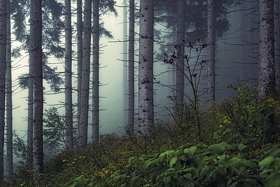 Martin Podt MPP344 - Misty Hills - Foggy, Trees, Forest from Penny Lane Publishing