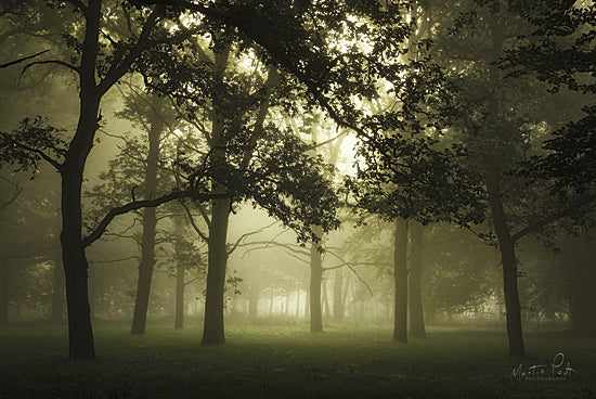 Martin Podt MPP345 - Autumn is Approaching - Autumn, Trees, Foggy from Penny Lane Publishing