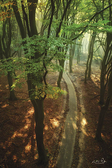 Martin Podt MPP353 - Bird's Eye View - Trees, Forest, Path from Penny Lane Publishing