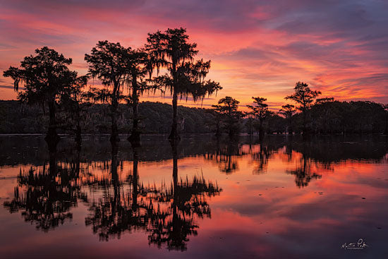 Martin Podt MPP604 - MPP604 - Swamp on Fire - 18x12 Photography, Trees, Lake, Sunset, Swamp from Penny Lane