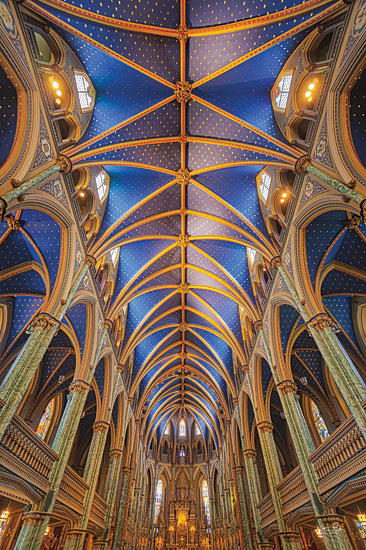 Martin Podt MPP606 - MPP606 - Notre-Dame Cathedral Basilica - 12x18 Photography, Notre-Dame, Cathedral, Basilica, Iconic from Penny Lane