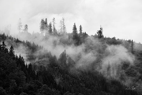 Martin Podt MPP610 - MPP610 - Covered by Clouds - 18x12 Covered by Clouds, Trees, Forest, Pine Trees, Photography, Nature, Black & White from Penny Lane