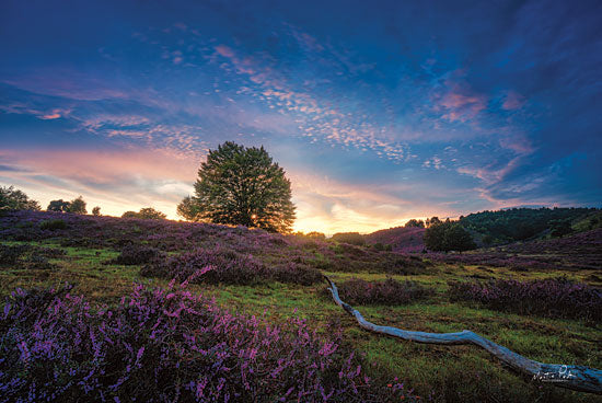 Martin Podt MPP620 - MPP620 - Blue Hour - 18x12 Photography, Landscape, Flowers, Trees, Sunset from Penny Lane