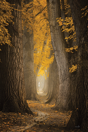 Martin Podt MPP636 - MPP636 - Autumn Path - 12x18 Trees, Forest, Yellow Leaves, Leaves, Path, Photography from Penny Lane