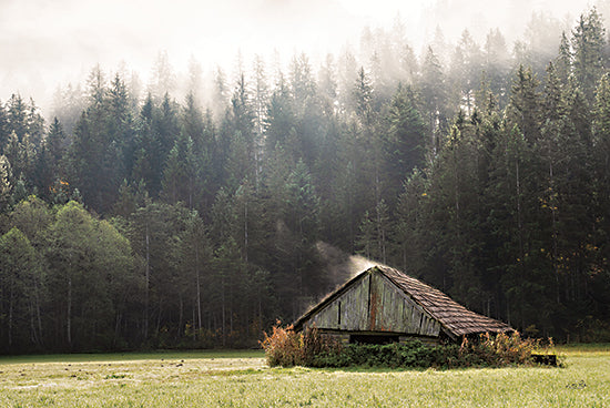Martin Podt MPP644 - MPP644 - Old But Still Smoking - 18x12 Barn, Trees, Pine Trees, Landscape, Photography from Penny Lane