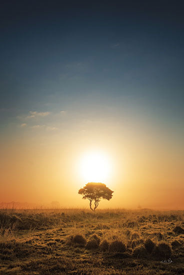 Martin Podt MPP685 - MPP685 - Rise and Shine - 12x18 Trees, Brush, Photography, Sunlight, Nature from Penny Lane