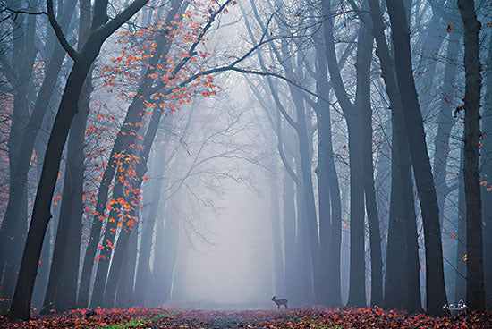 Martin Podt MPP693 - MPP693 - Oh Deer! - 18x12 Trees, Deer, Forest, Foggy, Photography from Penny Lane