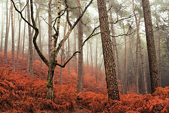 Martin Podt MPP763 - MPP763 - The Floor is Lava - 18x12 Photography, Trees, Red Leaves, Red Plants, Landscape from Penny Lane