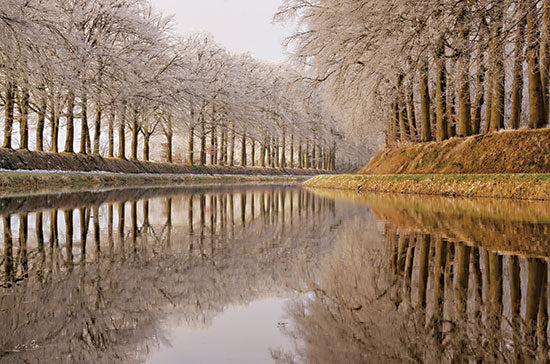 Martin Podt MPP785 - MPP785 - Frosty Reflections - 18x12 Frosty Reflections, Photography, River, River Banks, Paths from Penny Lane