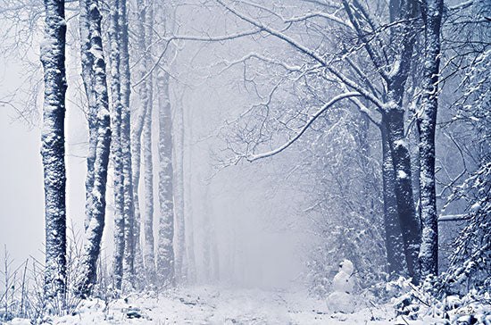 Martin Podt MPP790 - MPP790 - Alone in the World - 18x12 Photography, Snowmen, Trees, Forest, Winter, Snow, Path from Penny Lane
