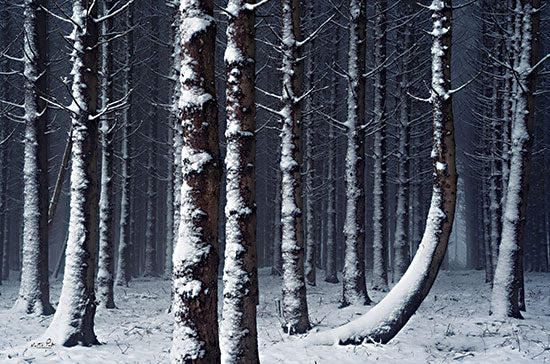 Martin Podt MPP791 - MPP791 - Crooked - 18x12 Photography, Landscape, Trees, Forest, Winter, Snow from Penny Lane