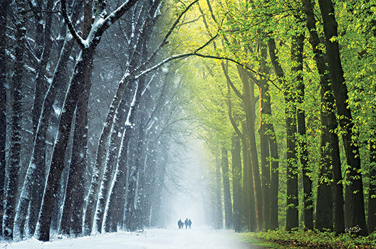Martin Podt MPP801 - MPP801 - Spring is Coming - 18x12 Photography, Winter, Path, Figures, Trees, Winter, Spring, Two Seasons, Whimsical from Penny Lane