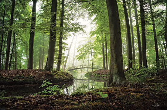 Martin Podt MPP819 - MPP819 - On a Beautiful Morning - 18x12 Bridge, Paths, Trees, Creek, Landscape, Photography, Nature from Penny Lane