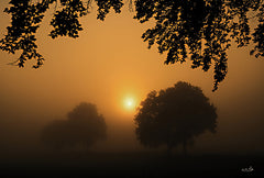 MPP836 - Foggy Sunrise - 18x12