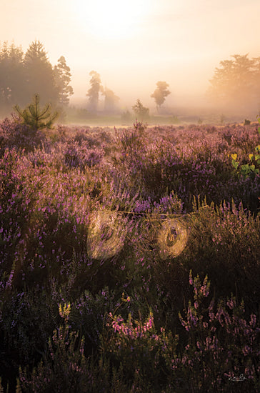 Martin Podt MPP855 - MPP855 - The Heather Ghost - 12x18 Heather, Heather Fields, Herbs, Landscape, Photography from Penny Lane