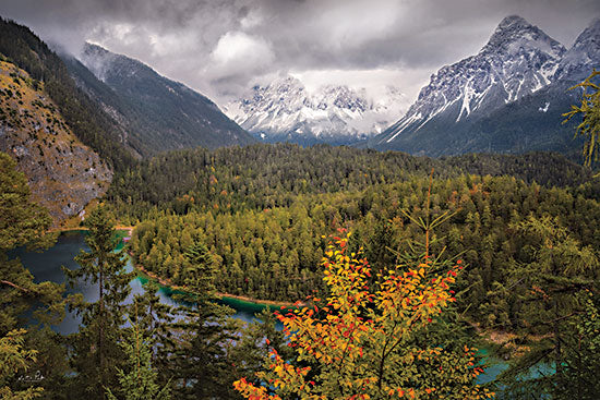 Martin Podt MPP873 - MPP873 - When Autumn Meets Winter - 18x12 Landscape, Mountains, Trees, Fall Trees, Nature Photography from Penny Lane