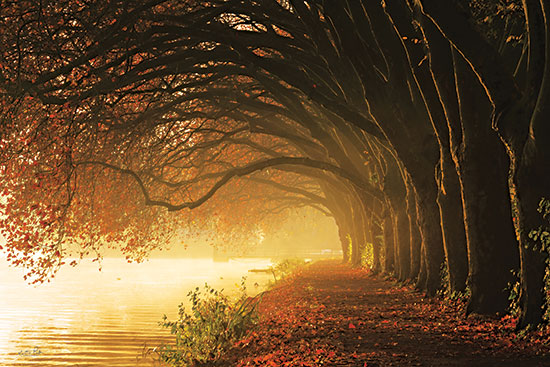 Martin Podt MPP884 - MPP884 - Autumn Sunrise - 18x12 Photography, Fall, Trees, Leaves, Path, Lake, Sunlight, Nature, Sunrise from Penny Lane