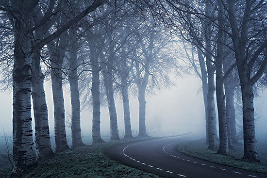 Martin Podt MPP895 - MPP895 - The Curve - 18x12 Trees, Landscape, Photography, Paths, Road, Tree-Lined Road, Curve, Curve in Road, Fog from Penny Lane