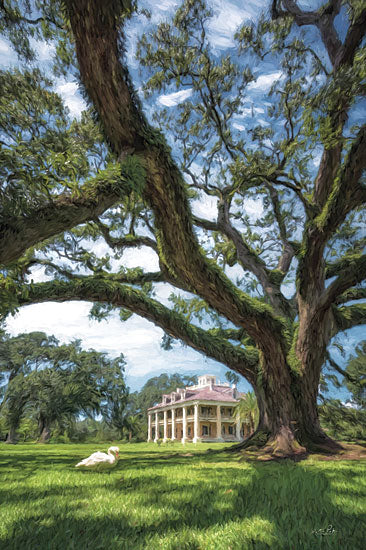 Martin Podt MPP951 - MPP951 - Houmas House - 12x18 Photography, Landscape, House, Houmas House, Mansion, Plantation, Louisiana, Goose, Trees from Penny Lane