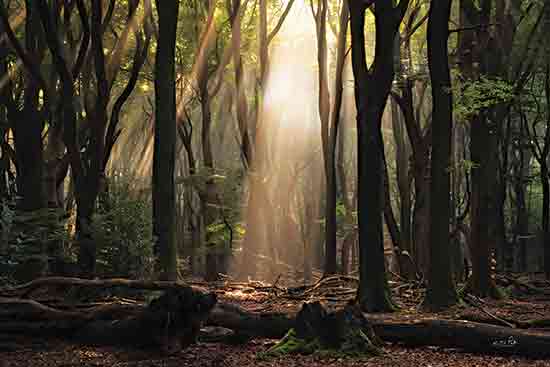 Martin Podt MPP975 - MPP975 - Beautifully Messed Up - 18x12 Photography, Trees, Forest, Sunlight, Sunrays, Leaves, Landscape, Nature, Green from Penny Lane