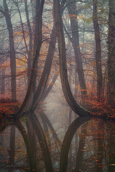 Martin Podt MPP985 - MPP985 - Bent for Life - 12x18 Photography, Trees, Bent Trees, Swamp, Leaves, Fall, Red Leaves, Reflections from Penny Lane