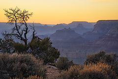MPP993 - Grand Canyon Sunset - 18x12