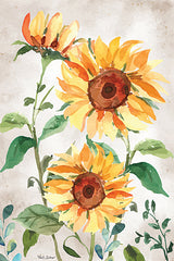 ND157 - Late Summer Sunflowers I - 12x18