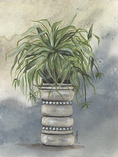 Julie Norkus NOR239 - NOR239 - Spider Plant in Pottery - 12x16 Spider Plant, Pottery, House Plant, Green Plant, Botanical from Penny Lane