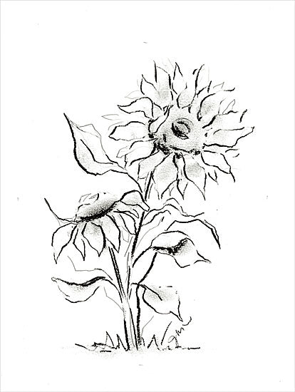 Julie Norkus NOR267 - NOR267 - Sunflower Charcoal Sketch    - 12x16  Flowers, Sunflowers, Abstract, Charcoal Sketch, Drawing Print, Fall, Black & White from Penny Lane