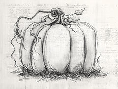 NOR346 - Sketchy Pumpkin - 16x12