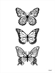 PAV382 - Butterfly Trio - 12x16