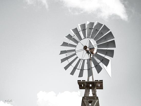 Lauren Rader RAD1342 - RAD1342 - Windmill    - 16x12 Photography, Windmill, Bird from Penny Lane