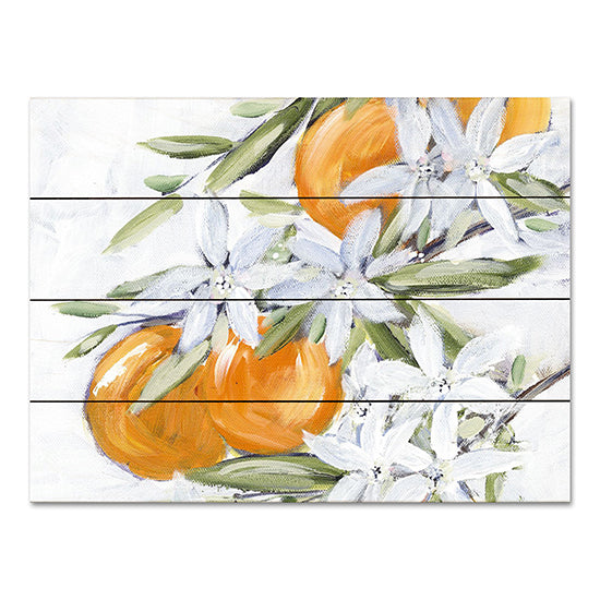 Roey Ebert REAR387PAL - REAR387PAL - Orange Blossoms - 16x12 Orange Blossoms, Oranges, Fruit, Kitchen from Penny Lane