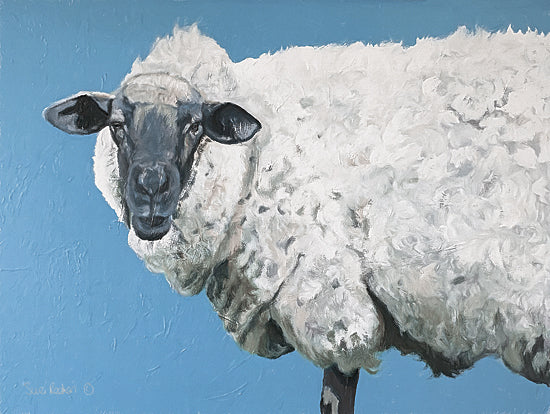Suzi Redman RED148 - RED148 - Wooly Sheep - 16x12 Sheep, Farm, Portrait from Penny Lane