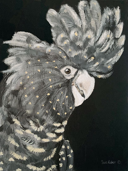 Suzi Redman RED156 - RED156 - Gray Cockatoo - 12x16 Cockatoo, Birds, Gray Cockatoo, Parrots from Penny Lane