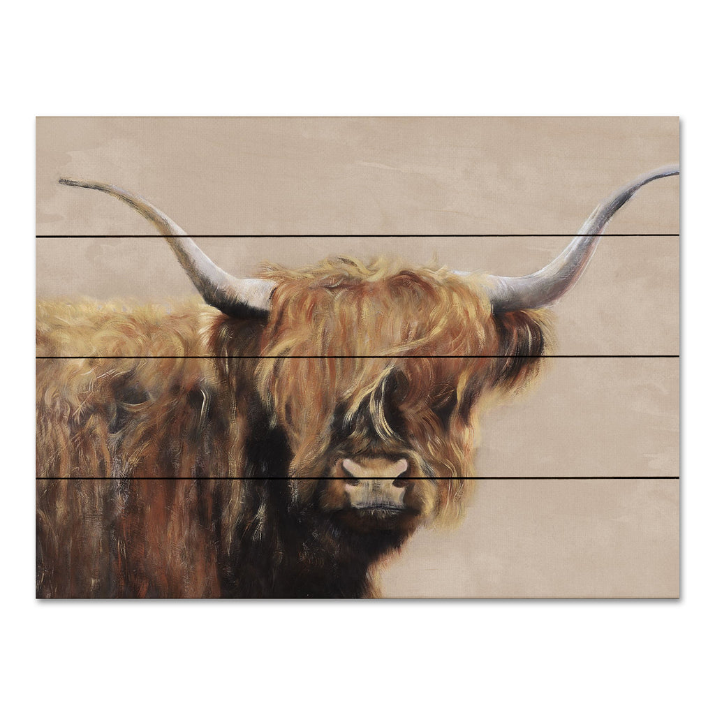 Suzi Redman RED165PAL - RED165PAL - Highland Cow - 16x12 Highland Cow, Cow from Penny Lane
