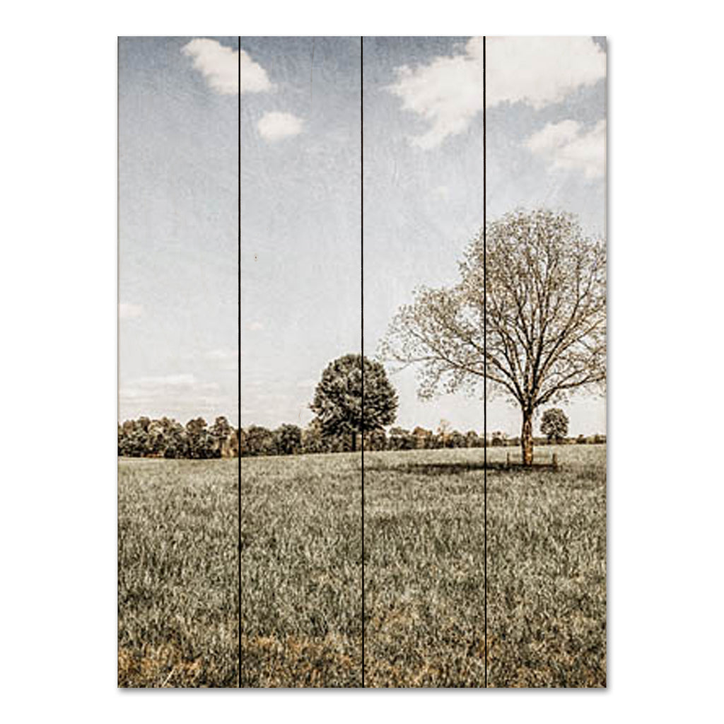 Jennifer Rigsby RIG134PAL - RIG134PAL - Together in the Fields I - 16x12 Photography, Landscape, Trees, Fields from Penny Lane