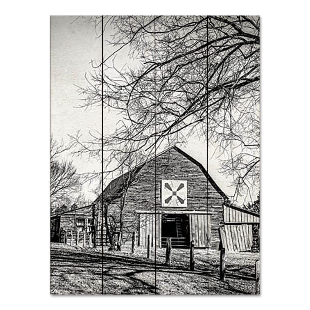 Jennifer Rigsby RIG136PAL - RIG136PAL - At Home in the Barn - 16x12 Photography, Barn, Farm, Black & White, Barn Quilt Block, Landscape from Penny Lane