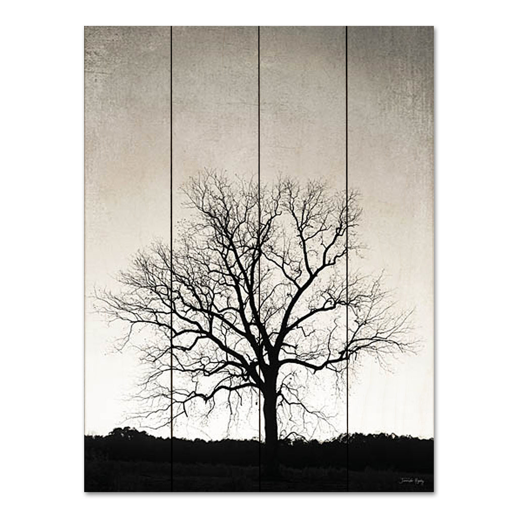 Jennifer Rigsby RIG137PAL - RIG137PAL - Under Heaven - 12x16 Photography, Tree, Landscape, Nature from Penny Lane