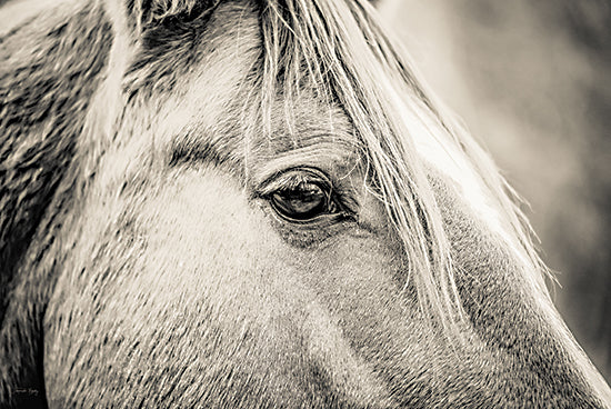Jennifer Rigsby RIG140 - RIG140 - The Eyes Have It - 18x12 Photography, Horse, Sepia, Horse's Head from Penny Lane