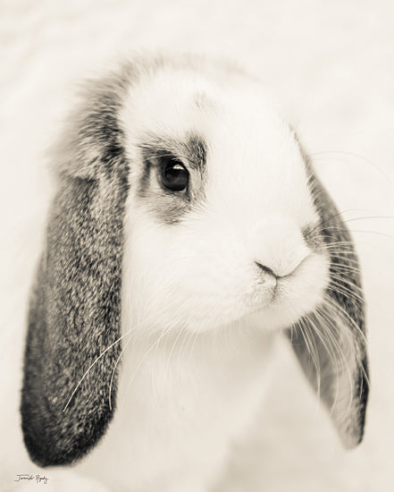 Jennifer Rigsby RIG146 - RIG146 - Harriot's Picture Day - 12x16 Photography, Rabbit, Bunny, Sepia, Easter from Penny Lane
