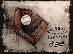 RIG147 - Baseball is My Favorite Season - 16x12