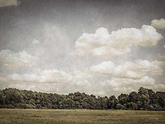 Jennifer Rigsby RIG152 - RIG152 - Rolling Clouds Countryside - 16x12 Photography, Landscape, Trees, Forest, Clouds, Sky from Penny Lane