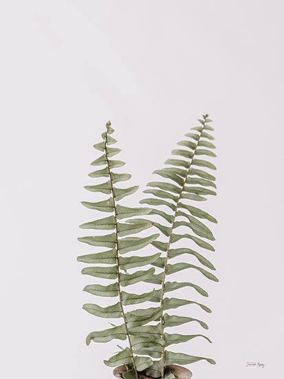 Jennifer Rigsby RIG160 - RIG160 - Boho Fern - 12x16 Fern, Plant, Green Plant, Potted Plant, Botanical from Penny Lane